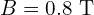 B = 0.8 \text{ T}