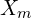  X_m 